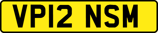 VP12NSM