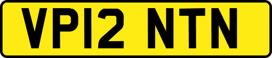VP12NTN