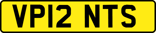 VP12NTS