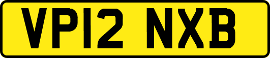 VP12NXB