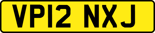 VP12NXJ