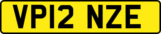 VP12NZE