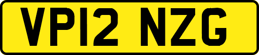VP12NZG