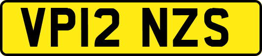 VP12NZS