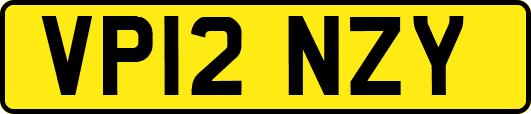VP12NZY