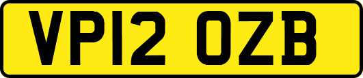 VP12OZB
