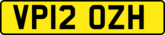 VP12OZH