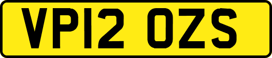 VP12OZS