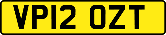 VP12OZT