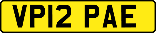 VP12PAE