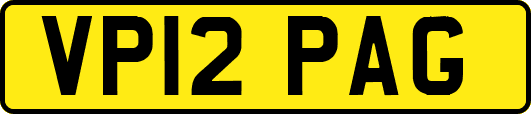 VP12PAG