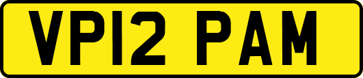 VP12PAM