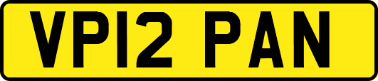VP12PAN