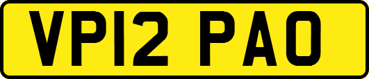 VP12PAO