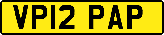 VP12PAP