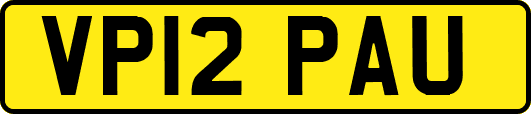 VP12PAU