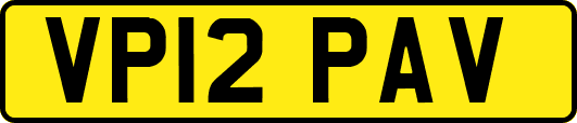 VP12PAV