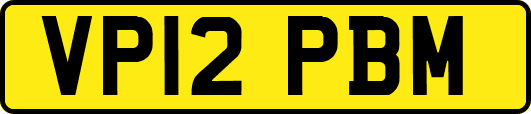 VP12PBM