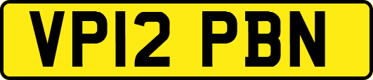 VP12PBN