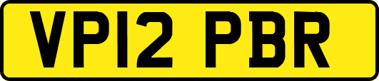 VP12PBR