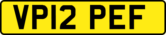 VP12PEF