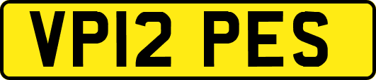 VP12PES