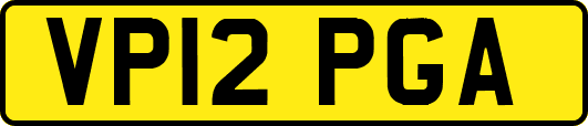 VP12PGA