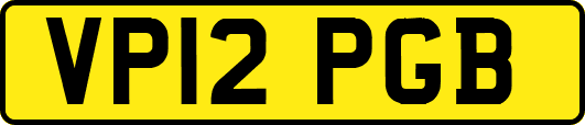 VP12PGB
