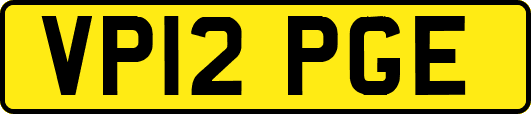 VP12PGE