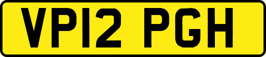 VP12PGH