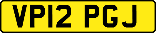 VP12PGJ