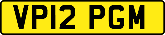 VP12PGM