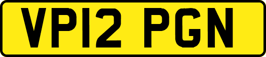 VP12PGN