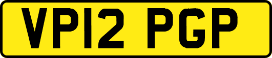 VP12PGP