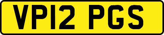 VP12PGS