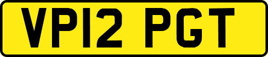 VP12PGT