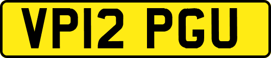 VP12PGU