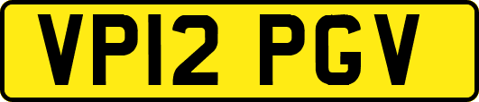 VP12PGV