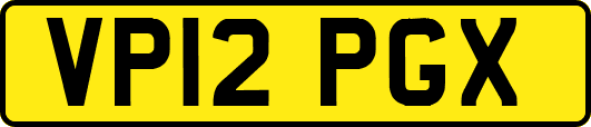VP12PGX