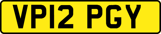 VP12PGY