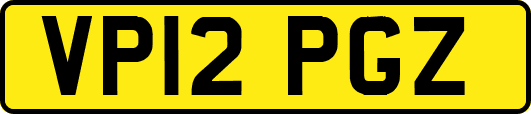 VP12PGZ