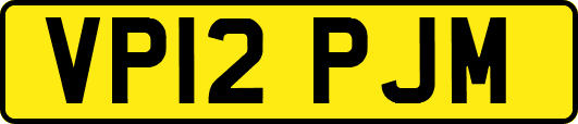 VP12PJM