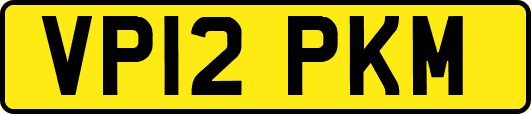 VP12PKM