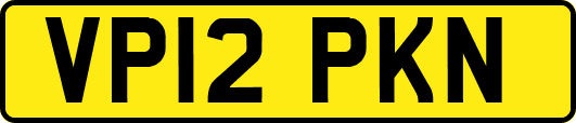 VP12PKN