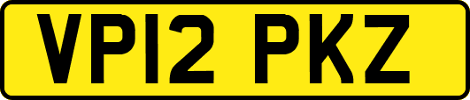 VP12PKZ