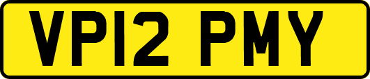 VP12PMY