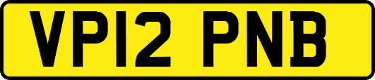 VP12PNB