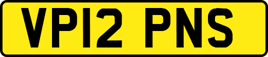 VP12PNS