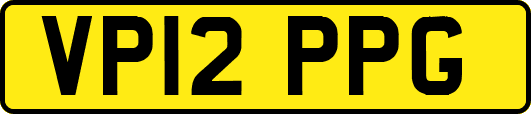 VP12PPG
