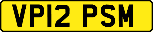 VP12PSM